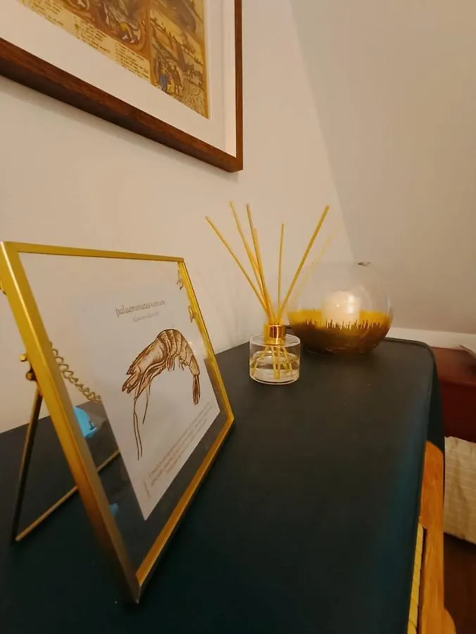 아파트 Gatu El Sitio De Cadiz 스페인