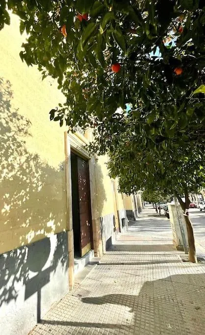 Gatu EL SITIO DE CÁDIZ Cádiz